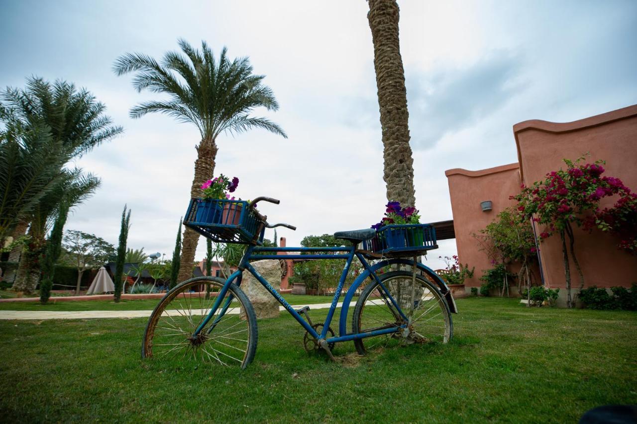 Lazib Inn Resort & Spa Tunis Экстерьер фото